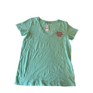 Express Aqua V-Neck Tee